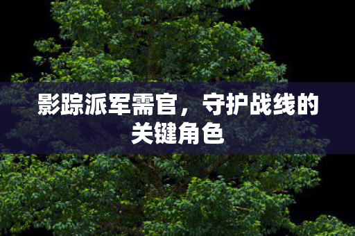 影踪派军需官,守护战线的关键角色 影踪派军需官,守护战线的关键角色