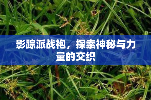 影踪派战袍，探索神秘与力量的交织