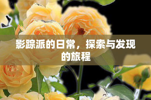影踪派的日常,探索与发现的旅程 影踪派的日常,探索与发现的旅程
