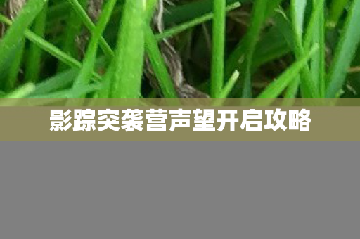 影踪突袭营声望开启攻略 影踪突袭营声望开启攻略