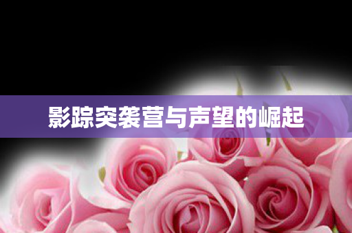 影踪突袭营与声望的崛起 影踪突袭营与声望的崛起