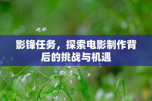 影锋任务,探索电影制作背后的挑战与机遇 影锋任务,探索电影制作背后的挑战与机遇