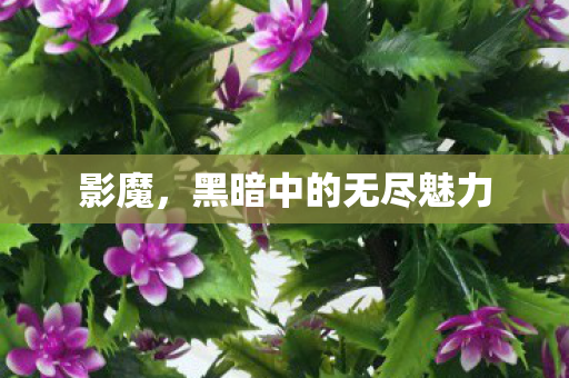 影魔,黑暗中的无尽魅力 影魔,黑暗中的无尽魅力