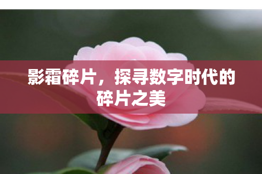 影霜碎片,探寻数字时代的碎片之美 影霜碎片,探寻数字时代的碎片之美