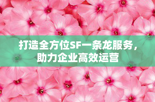 打造全方位SF一条龙服务,助力企业高效运营 打造全方位SF一条龙服务,助力企业高效运营