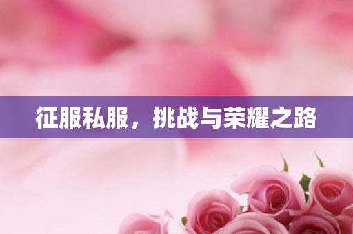 征服私服,挑战与荣耀之路 征服私服,挑战与荣耀之路