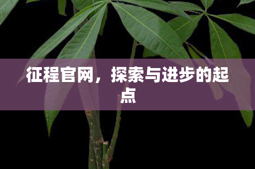 征程官网,探索与进步的起点 征程官网,探索与进步的起点