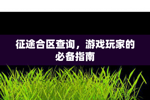 征途合区查询,游戏玩家的必备指南 征途合区查询,游戏玩家的必备指南