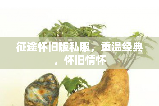 征途怀旧版私服,重温经典,怀旧情怀 征途怀旧版私服,重温经典,怀旧情怀
