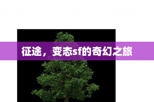 征途,变态sf的奇幻之旅 征途,变态sf的奇幻之旅