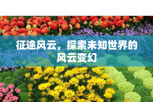 征途风云,探索未知世界的风云变幻 征途风云,探索未知世界的风云变幻