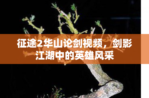 征途2华山论剑视频，剑影江湖中的英雄风采