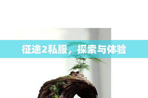 征途2私服,探索与体验 征途2私服,探索与体验