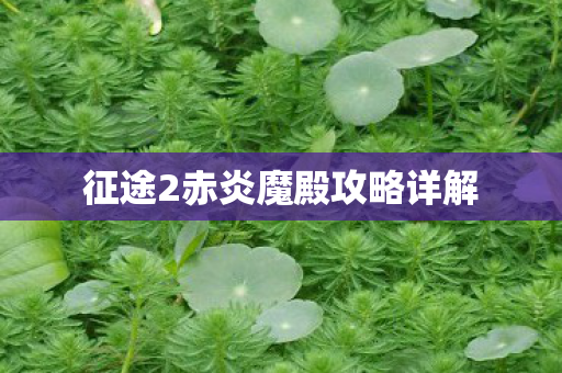 征途2赤炎魔殿攻略详解 征途2赤炎魔殿攻略详解