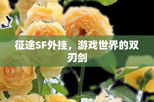 征途SF外挂,游戏世界的双刃剑 征途SF外挂,游戏世界的双刃剑