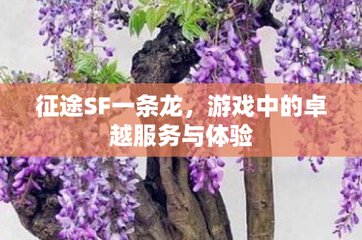 征途SF一条龙,游戏中的卓越服务与体验 征途SF一条龙,游戏中的卓越服务与体验