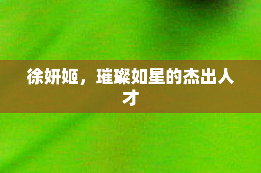 徐妍姬,璀璨如星的杰出人才 徐妍姬,璀璨如星的杰出人才