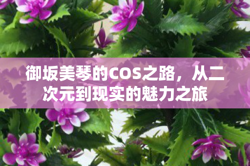 御坂美琴的COS之路,从二次元到现实的魅力之旅 御坂美琴的COS之路,从二次元到现实的魅力之旅