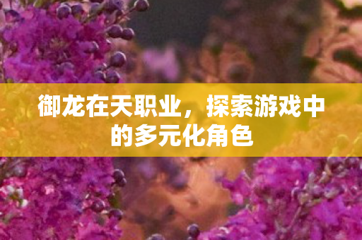 御龙在天职业,探索游戏中的多元化角色 御龙在天职业,探索游戏中的多元化角色