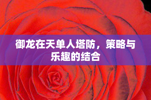 御龙在天单人塔防,策略与乐趣的结合 御龙在天单人塔防,策略与乐趣的结合