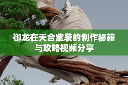 御龙在天合紫装的制作秘籍与攻略视频分享 御龙在天合紫装的制作秘籍与攻略视频分享