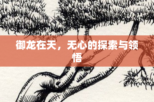 御龙在天,无心的探索与领悟 御龙在天,无心的探索与领悟