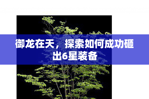御龙在天,探索如何成功砸出6星装备 御龙在天,探索如何成功砸出6星装备