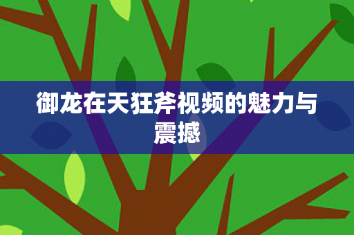 御龙在天狂斧视频的魅力与震撼