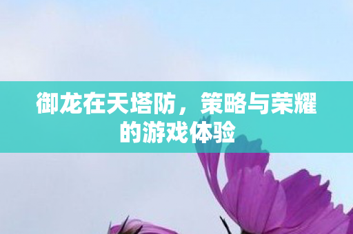 御龙在天塔防,策略与荣耀的游戏体验 御龙在天塔防,策略与荣耀的游戏体验
