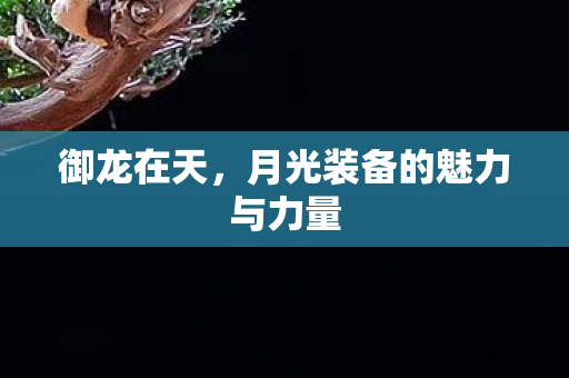御龙在天,月光装备的魅力与力量 御龙在天,月光装备的魅力与力量