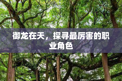 御龙在天,探寻最厉害的职业角色 御龙在天,探寻最厉害的职业角色