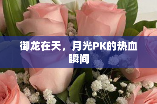 御龙在天,月光PK的热血瞬间 御龙在天,月光PK的热血瞬间