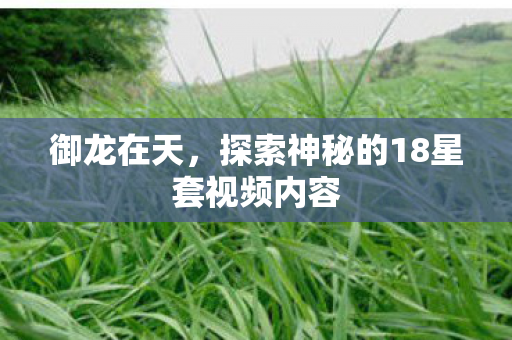 御龙在天,探索神秘的18星套视频内容 御龙在天,探索神秘的18星套视频内容
