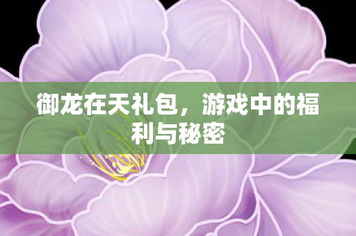 御龙在天礼包,游戏中的福利与秘密 御龙在天礼包,游戏中的福利与秘密
