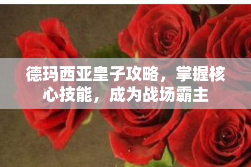 德玛西亚皇子攻略,掌握核心技能,成为战场霸主 德玛西亚皇子攻略,掌握核心技能,成为战场霸主