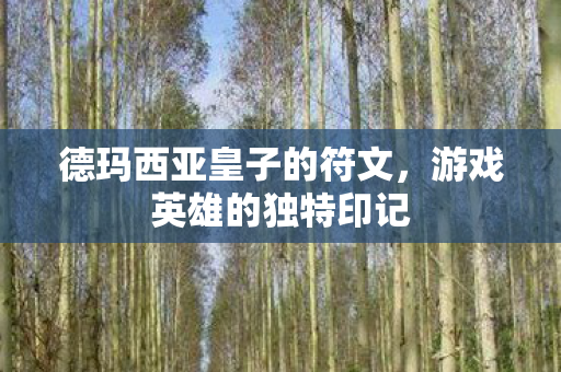 德玛西亚皇子的符文,游戏英雄的独特印记 德玛西亚皇子的符文,游戏英雄的独特印记