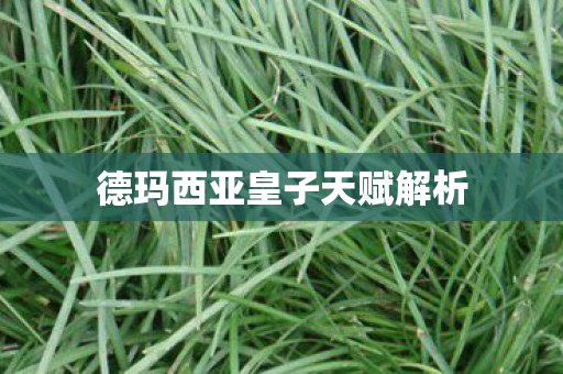 德玛西亚皇子天赋解析