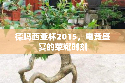 德玛西亚杯2015,电竞盛宴的荣耀时刻 德玛西亚杯2015,电竞盛宴的荣耀时刻