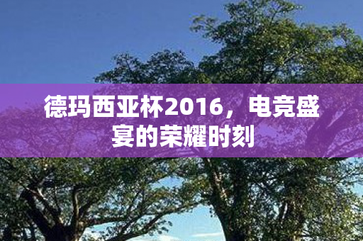 德玛西亚杯2016,电竞盛宴的荣耀时刻 德玛西亚杯2016,电竞盛宴的荣耀时刻