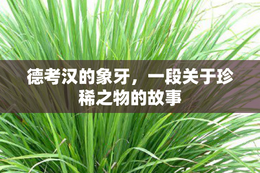 德考汉的象牙,一段关于珍稀之物的故事 德考汉的象牙,一段关于珍稀之物的故事