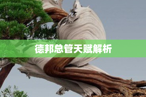 德邦总管天赋解析 德邦总管天赋解析