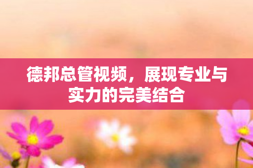 德邦总管视频,展现专业与实力的完美结合 德邦总管视频,展现专业与实力的完美结合