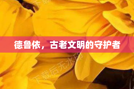 德鲁依,古老文明的守护者 德鲁依,古老文明的守护者