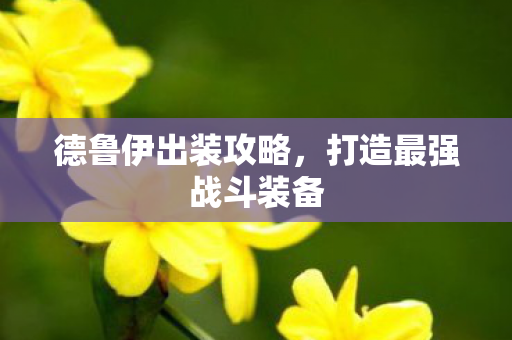 德鲁伊出装攻略,打造最强战斗装备 德鲁伊出装攻略,打造最强战斗装备