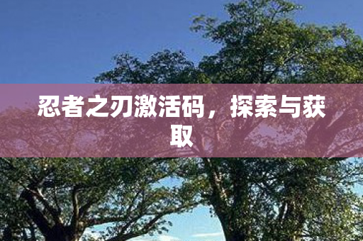 忍者之刃激活码,探索与获取 忍者之刃激活码,探索与获取
