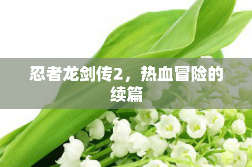 忍者龙剑传2,热血冒险的续篇 忍者龙剑传2,热血冒险的续篇
