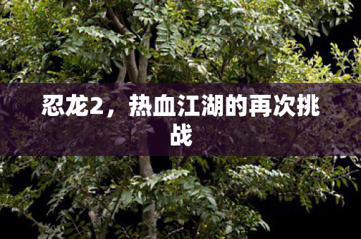 忍龙2,热血江湖的再次挑战 忍龙2,热血江湖的再次挑战