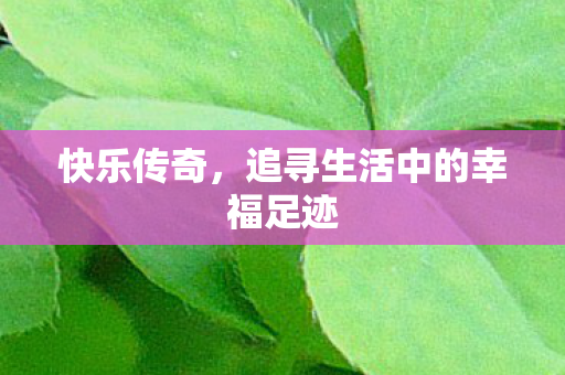 快乐传奇,追寻生活中的幸福足迹 快乐传奇,追寻生活中的幸福足迹