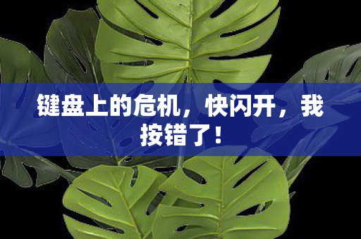 键盘上的危机,快闪开,我按错了! 键盘上的危机,快闪开,我按错了!