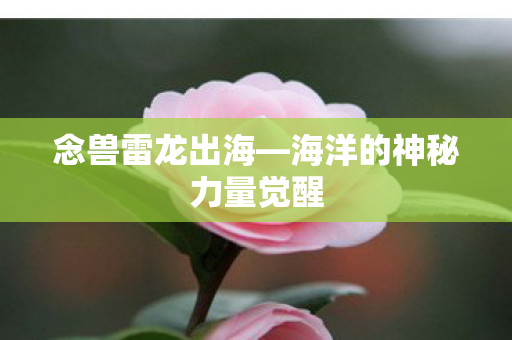 念兽雷龙出海—海洋的神秘力量觉醒 念兽雷龙出海—海洋的神秘力量觉醒